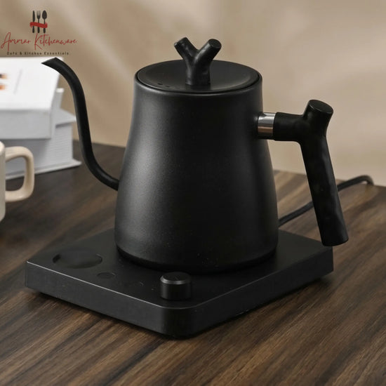 Electric Gooseneck Pour Over Coffee Kettle