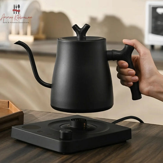 Electric Gooseneck Pour Over Coffee Kettle