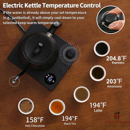 Electric Gooseneck Pour Over Coffee Kettle