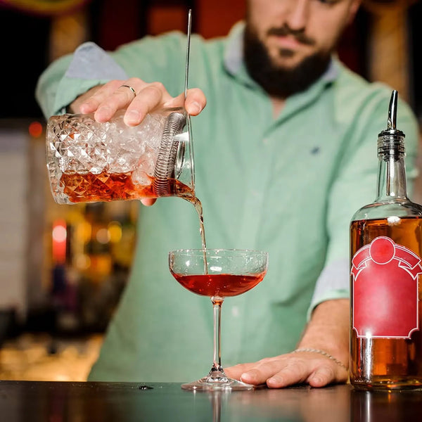 Cocktail Shaker Strainer