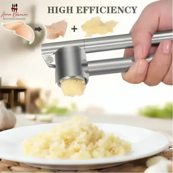 Stainless Steel Garlic Press